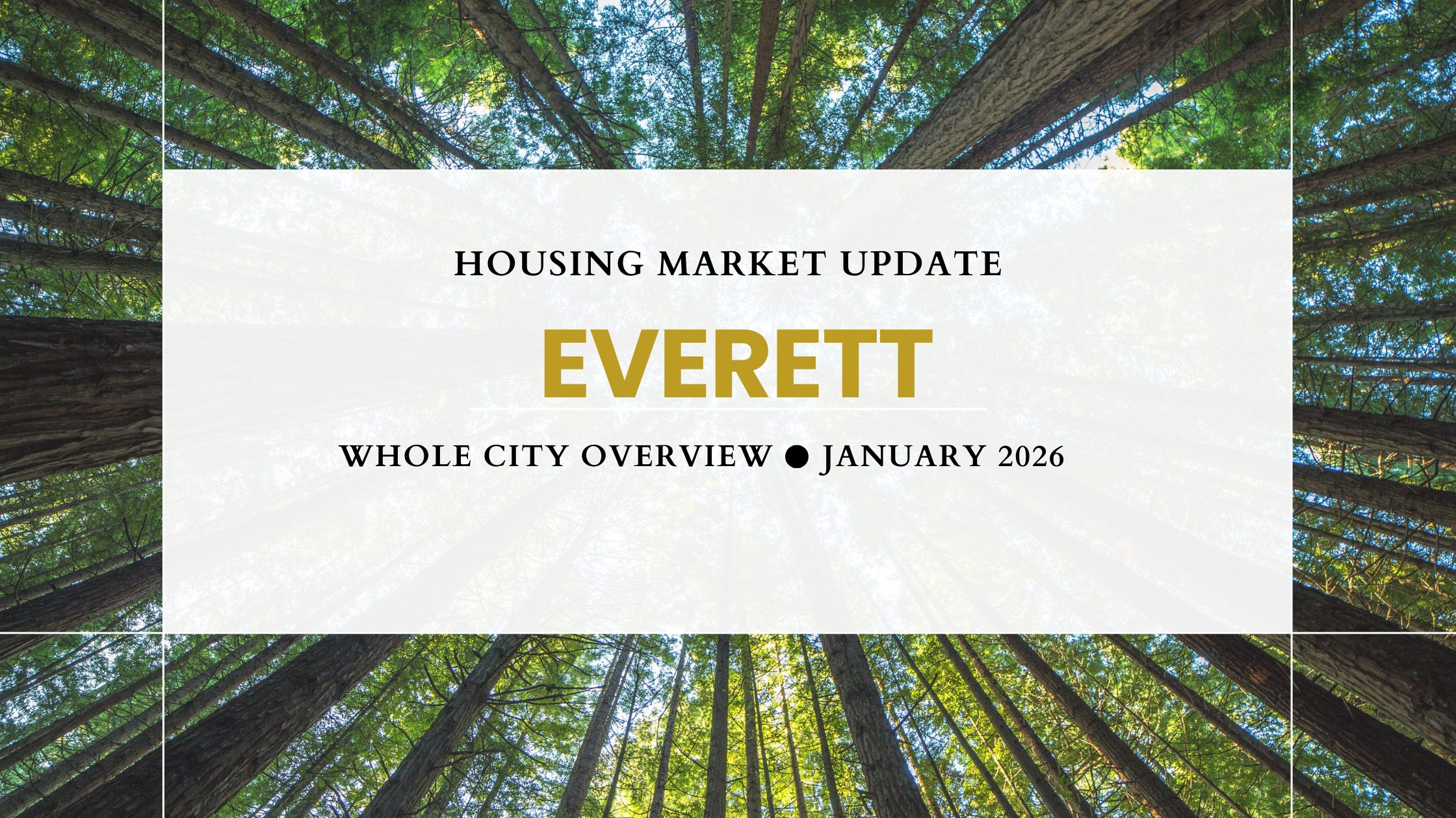 Everett Whole City Housing Market Stats January 2026 broken down by housing type and price point