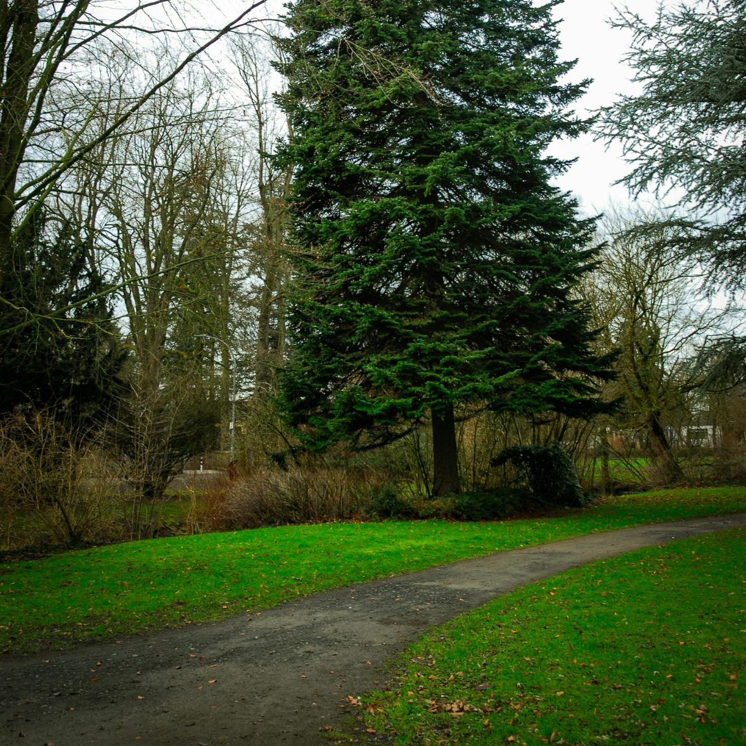 Lynnwood, Washington
